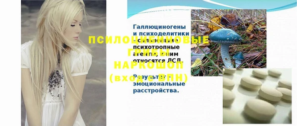 крисы Дмитров