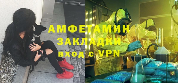 PSILOCYBIN Ельня
