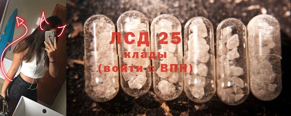 крисы Дмитров